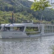 MS Antonio Bellucci*****