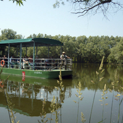 Bootsfahrt Naturpark Kopacki rit