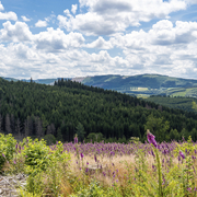 Hubertushöhe Cochem
