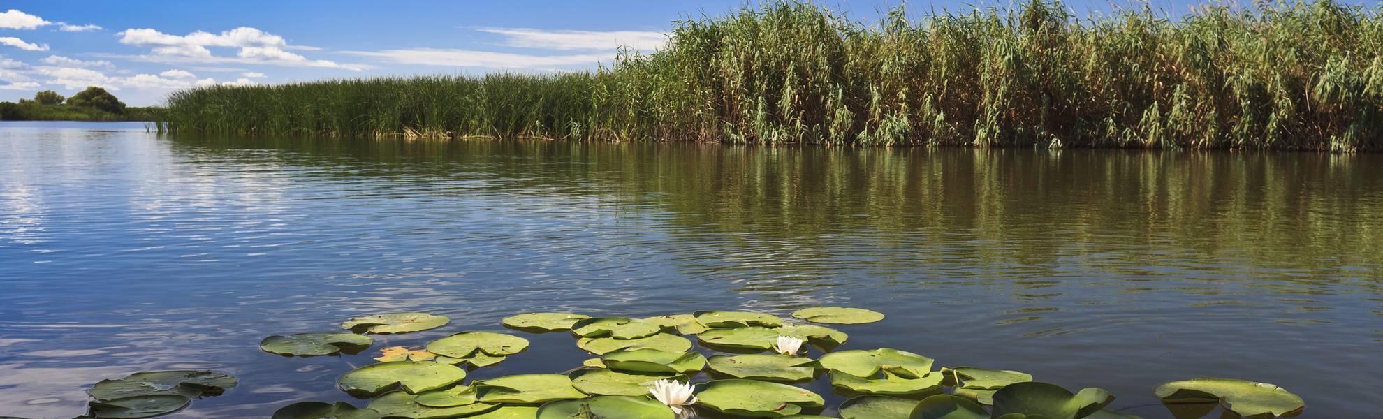 Wasserlandschaft im Donaudelta - © shutterstock_93505555