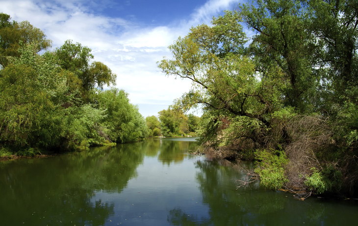 Wasserlandschaft im Donaudelta