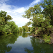 Wasserlandschaft im Donaudelta