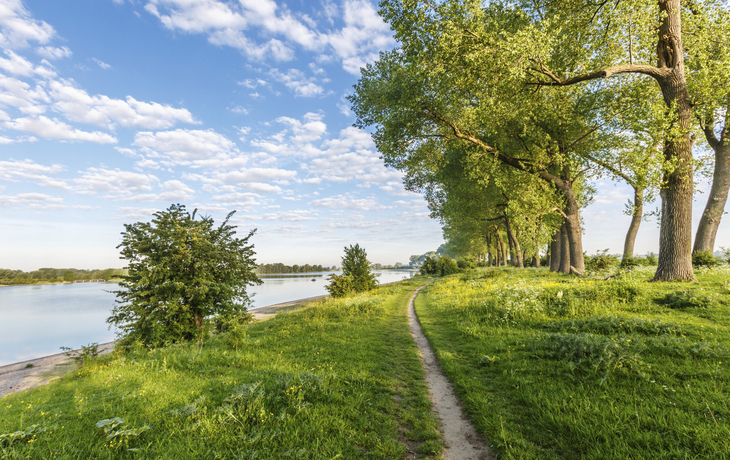Naturschutzgebiet bei Nijmegen, Ooijpolder