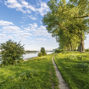 Naturschutzgebiet bei Nijmegen, Ooijpolder