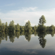 Landschaft Naturpark Kopacki rit