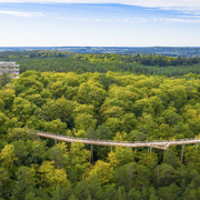 Baumwipfelpfad Usedom Turm