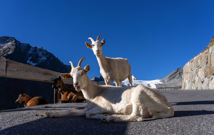 Timmelsjoch Hochalpenstraße in den Ötztaler Alpen