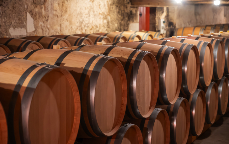 Weinkeller mit Fässern mit Rotwein aus der Rebsorte Cabernet Sauvignon aus den Weinberge im Haut-Medoc