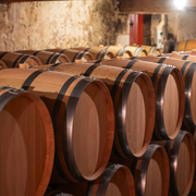 Weinkeller mit Fässern mit Rotwein aus der Rebsorte Cabernet Sauvignon aus den Weinberge im Haut-Medoc