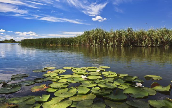 Wasserlandschaft im Donaudelta