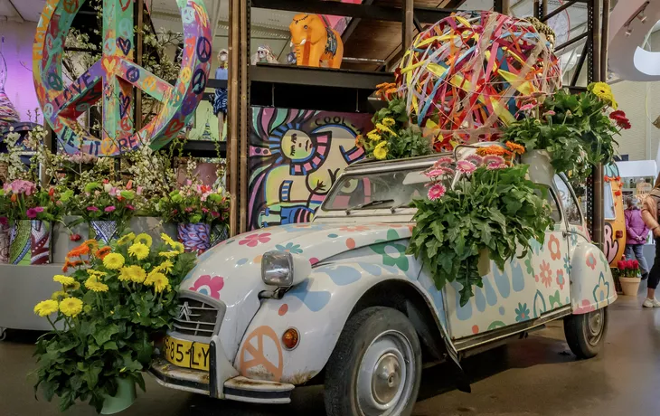 Le Rhin dans toute sa splendeur 