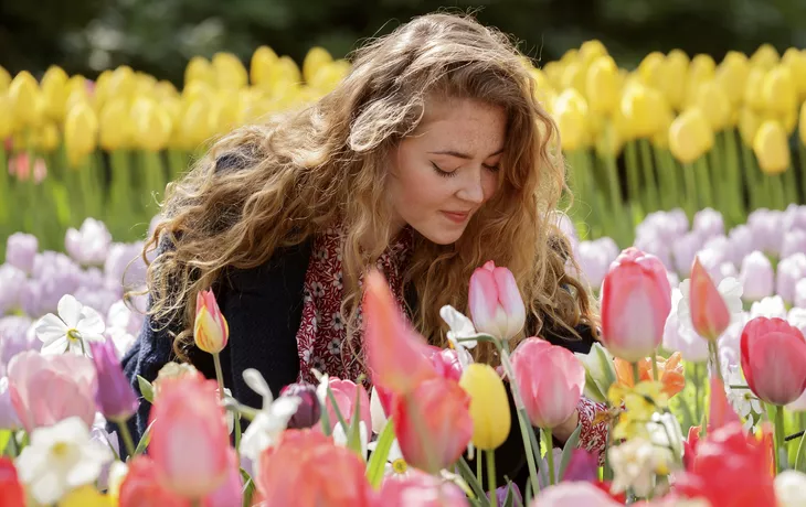 Le Rhin dans toute sa splendeur 