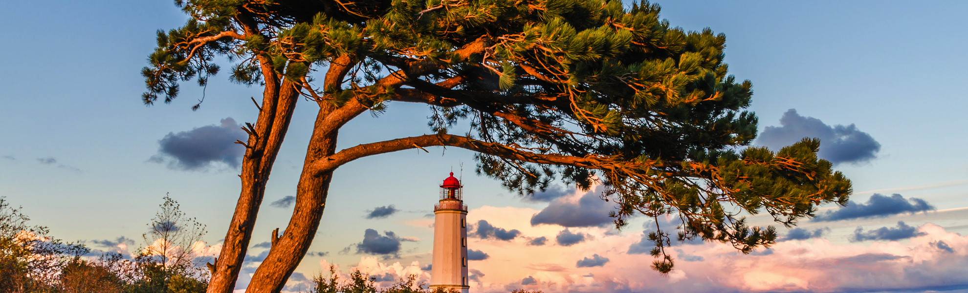 Le phare Dornbusch sur l'île de Hiddensee  - © riebevonsehl - stock.adobe.com