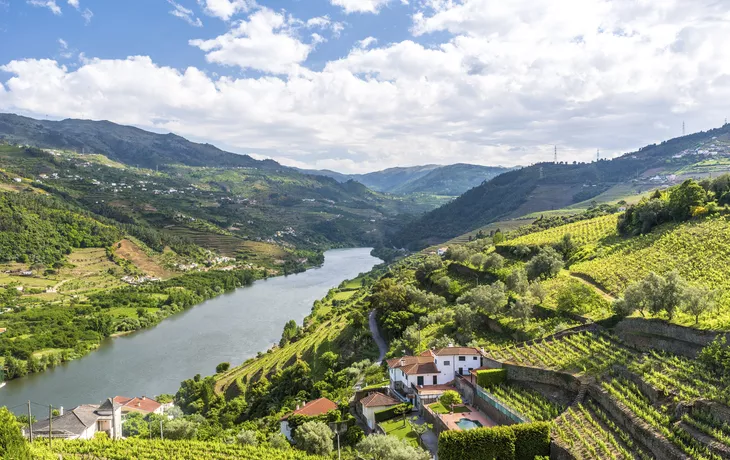 De la côte de Porto à la belle vallée du Douro