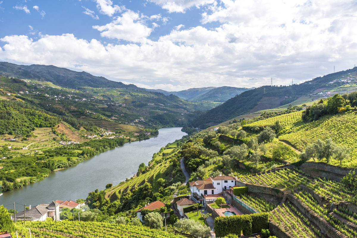 Vallée du Douro - © Simon Dannhauer - stock.adobe.com