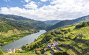 © Simon Dannhauer - stock.adobe.com
