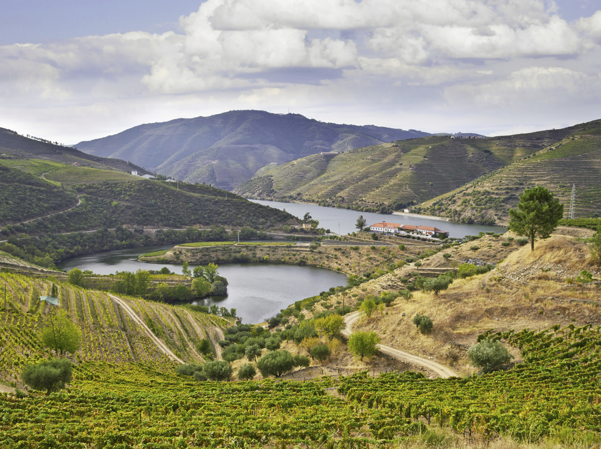 Vallée du Douro - © shutterstock_217828126