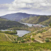 Vallée du Douro