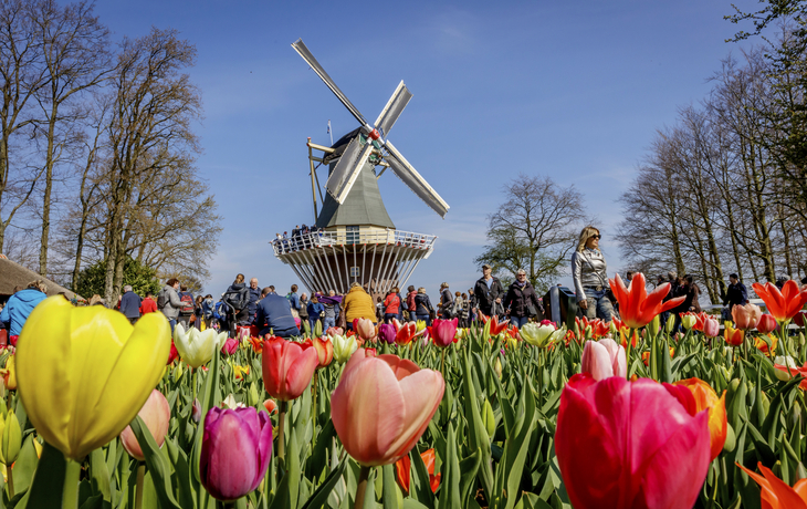 Keukenhof