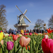 Keukenhof