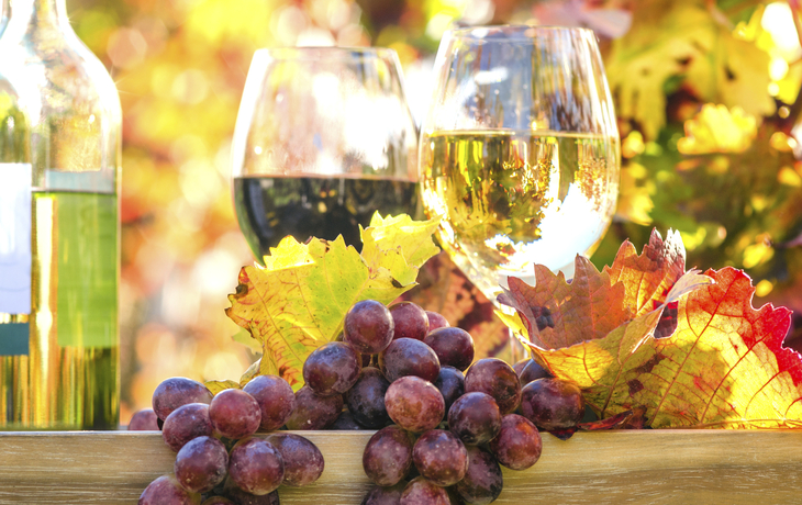 Weingenuss in der Pfalz