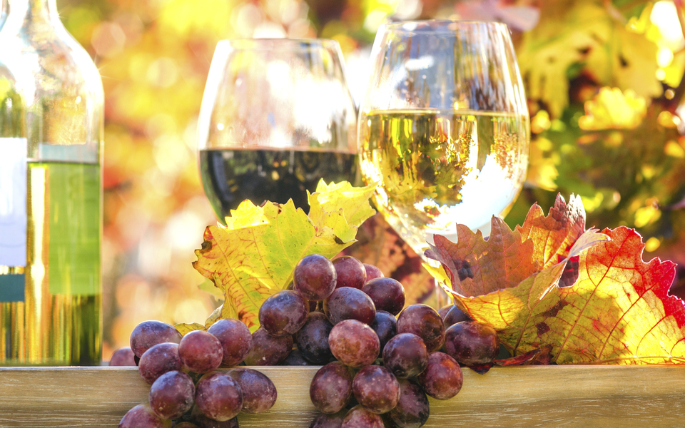 Weingenuss in der Pfalz - © Â©doris oberfrank-list - stock.adobe.com