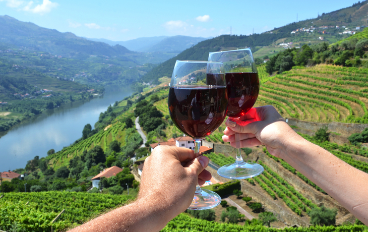 Vignobles dans la vallée du Douro, Portugal