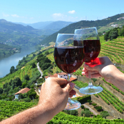 Vignobles dans la vallée du Douro, Portugal