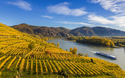 © Tomas Marek - stock.adobe.com