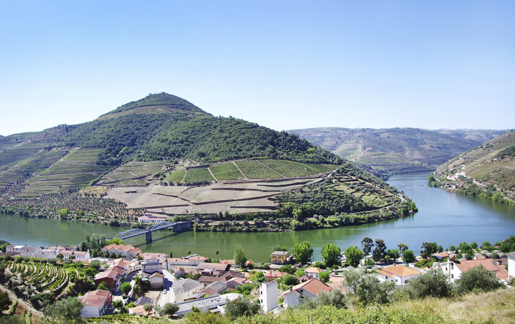 © shutterstock_212330440 - Pinhão