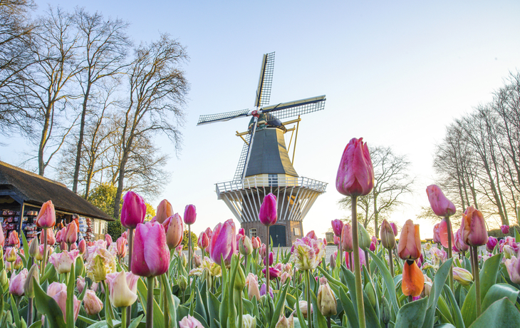 Keukenhof