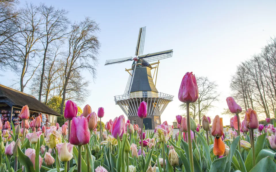 Keukenhof - Keukenhof