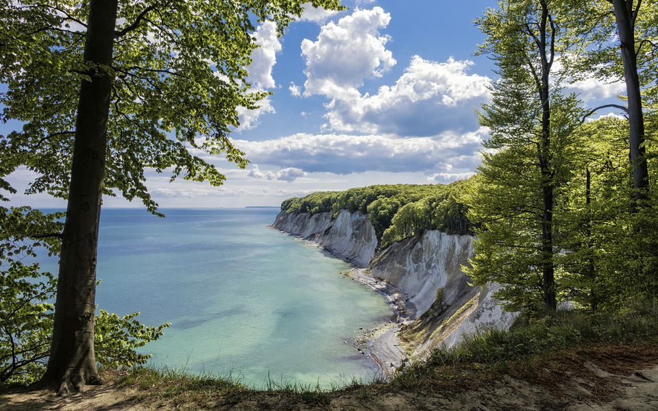 Falaises de craie, Rügen - © Getty Images/iStockphoto