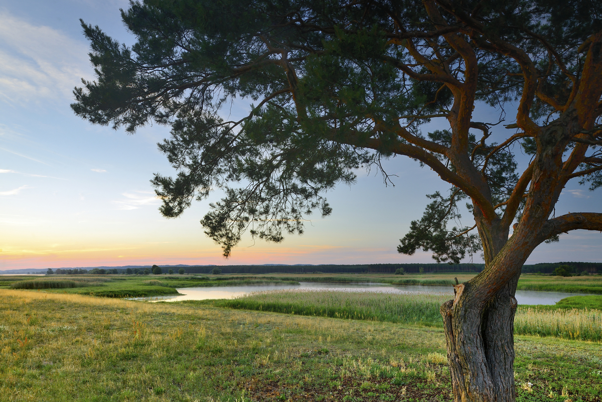 Parc National Unteres Odertal - © Francesco Carovillano