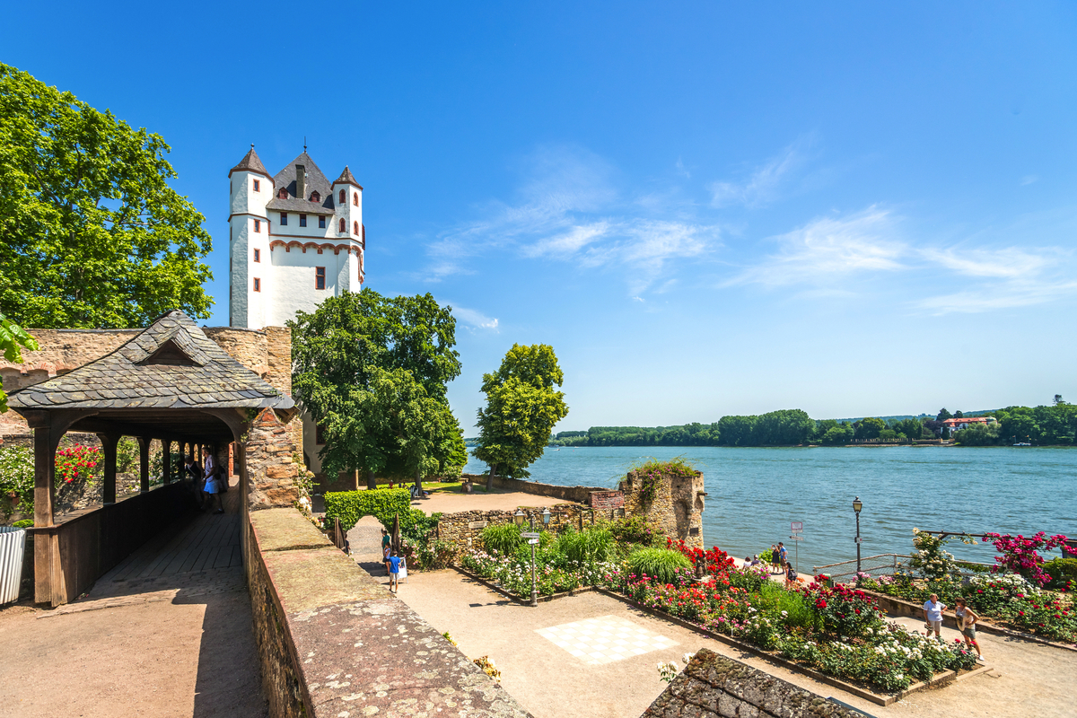Burg Eltville sur les rives du Rhin - © Sina Ettmer - stock.adobe.com