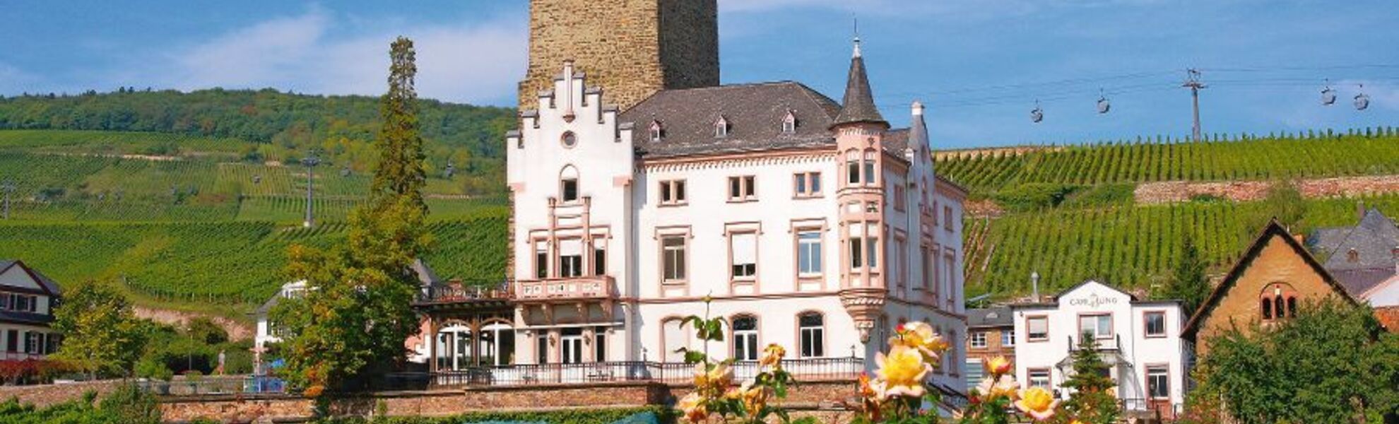 Boosenburg à Rüdesheim