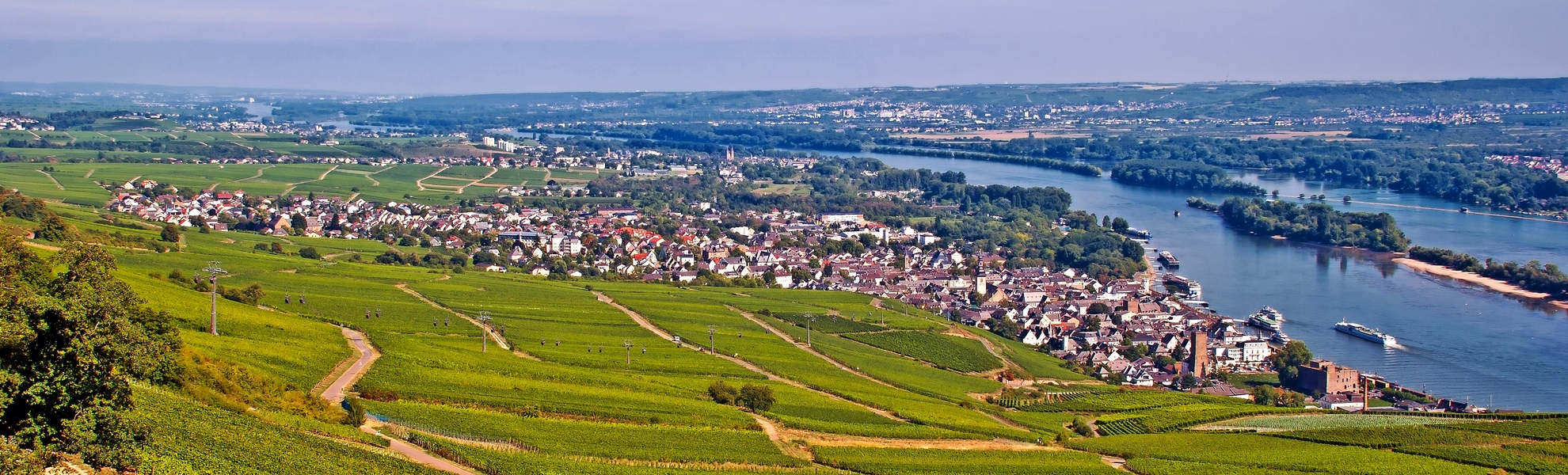 Rüdesheim avec vignoble - © mojolo - Fotolia