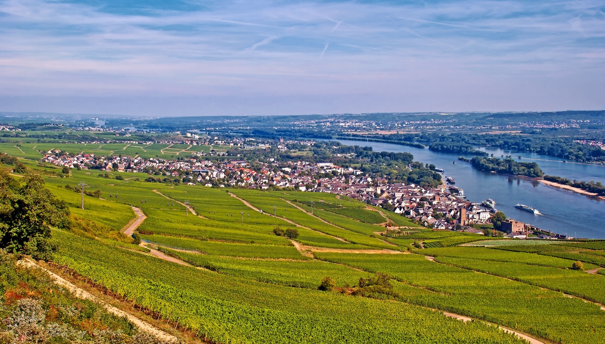 Rüdesheim avec vignoble - © mojolo - Fotolia