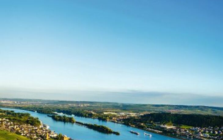 Weinbau am Rhein - © CPN - Fotolia