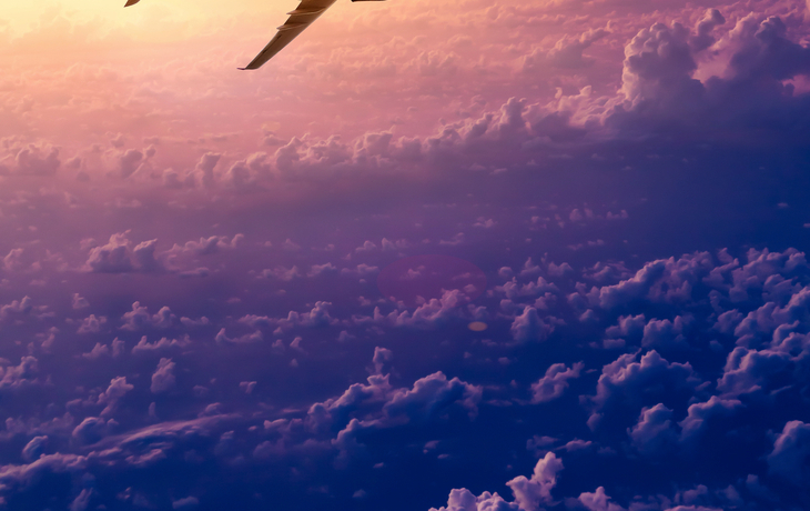 vol de retour - © 06photo - stock.adobe.com