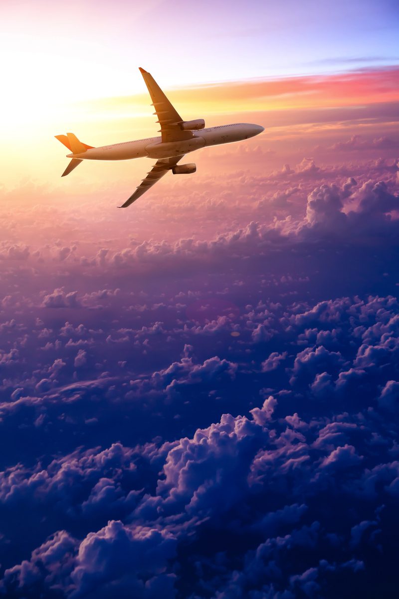 vol de retour - © 06photo - stock.adobe.com