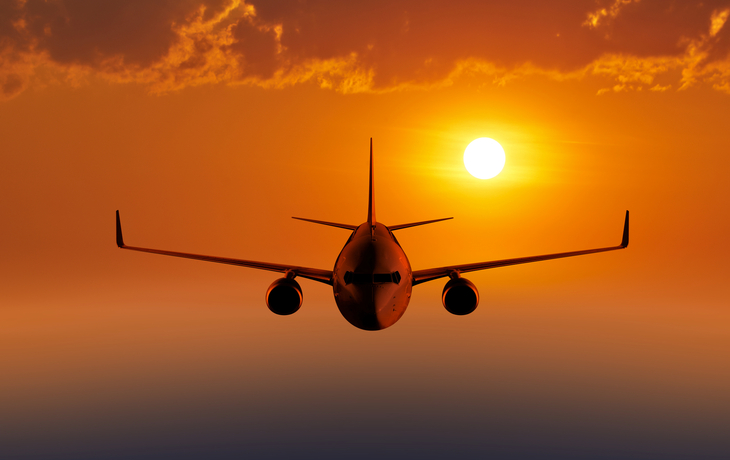 vol de retour - ©ILYA AKINSHIN - stock.adobe.com